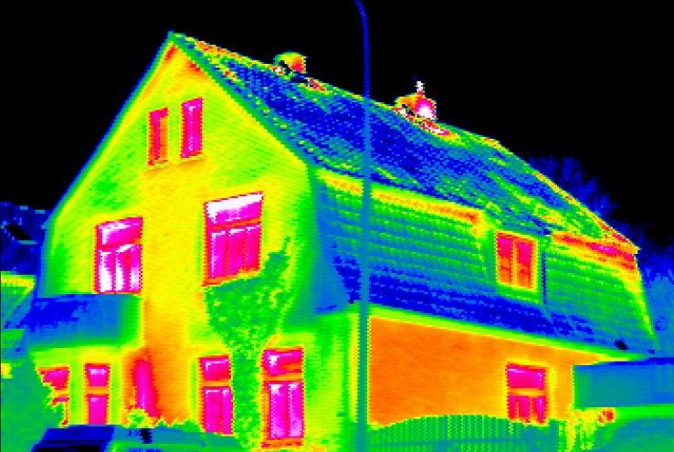 Test par caméra thermique : infiltration d’eau, insectes, moisissure